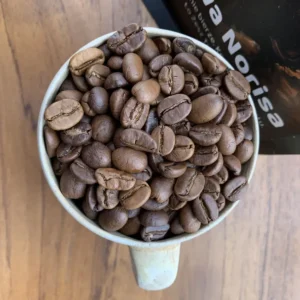 Kawa mać - Kawa Norisa