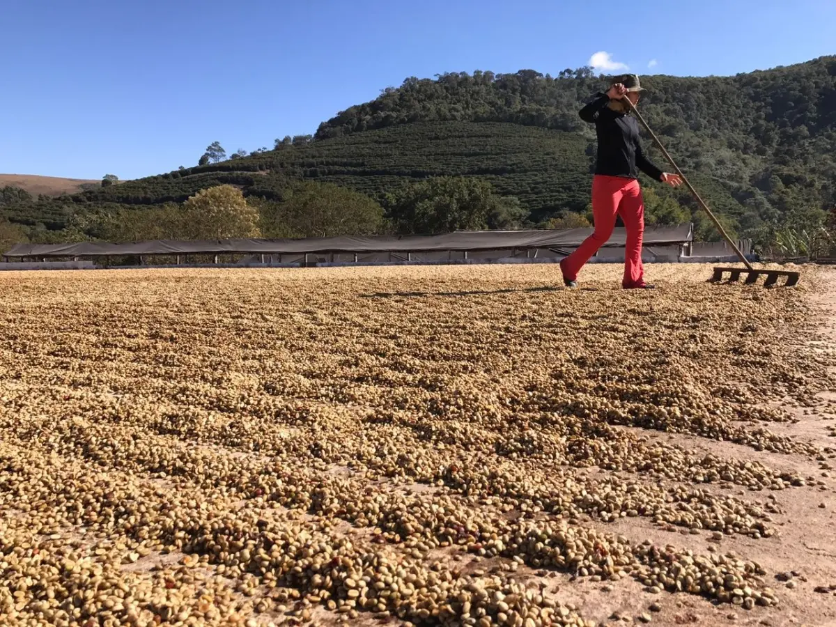 Funky Bean - BeMyBean - obrazek 5