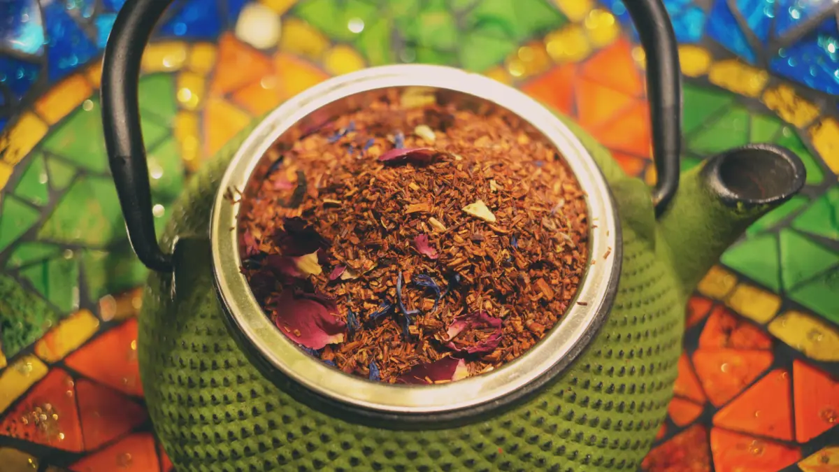 rooibos zimowy