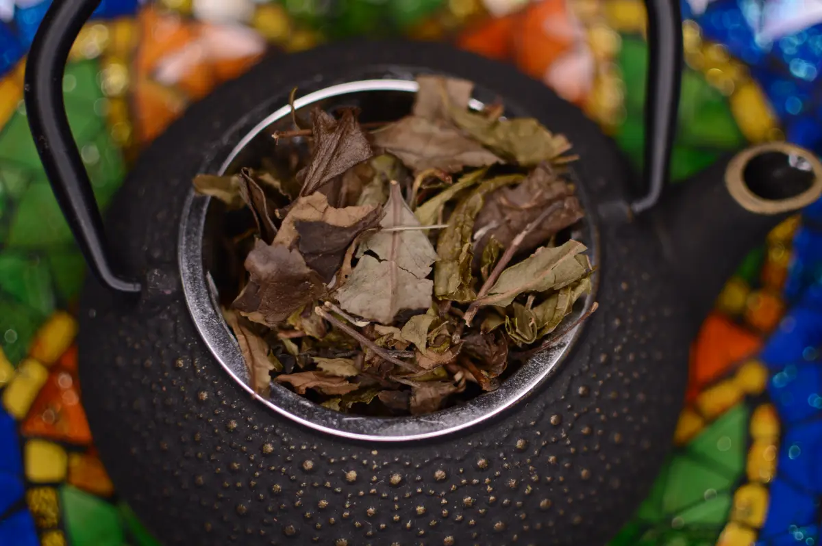 truskawki w szampanie