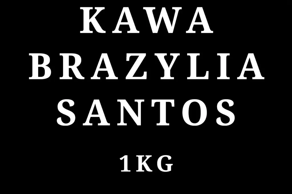 BRAZYLIA SANTOS