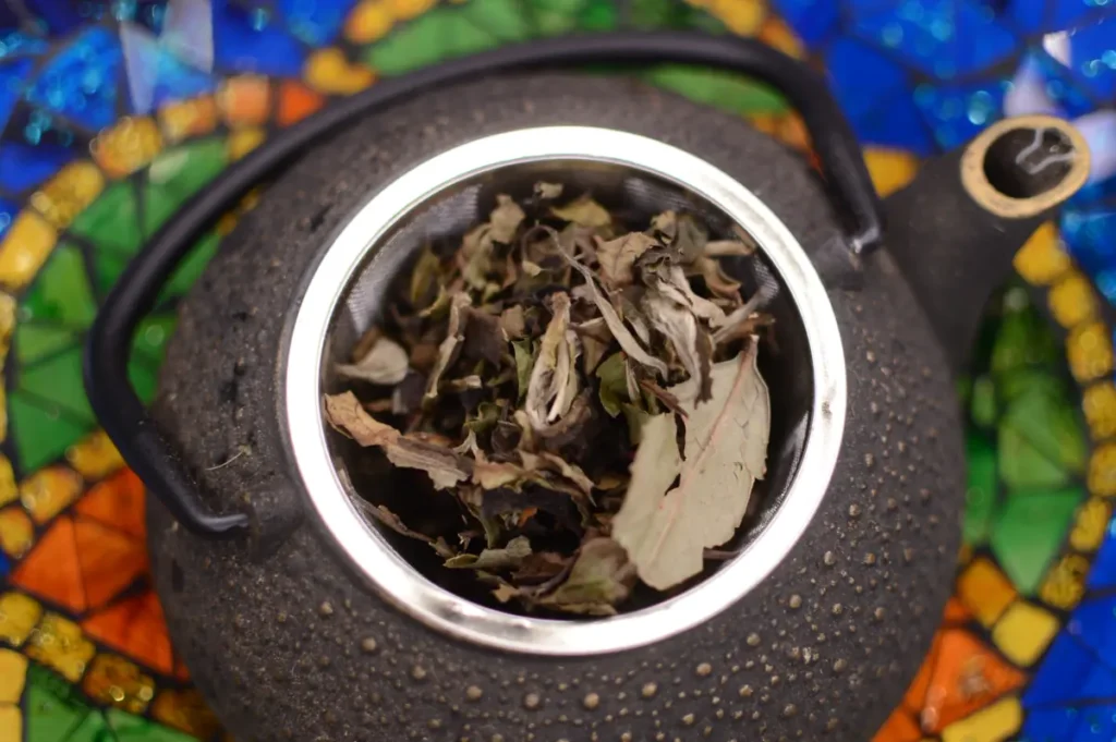 Brzoskwiniowa krolowa